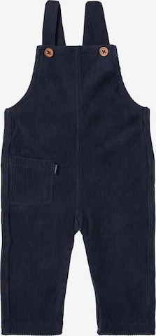 Noppies Regular Overalls in Blue: front