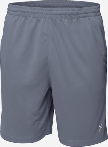 cflex Workout Pants 'Sportswear Collection' in Grey: front