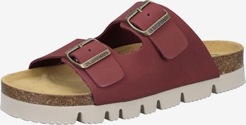 DR. BRINKMANN Mules 'BONILLO' in Red: front