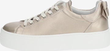 Nero Giardini Sneaker in Bronze