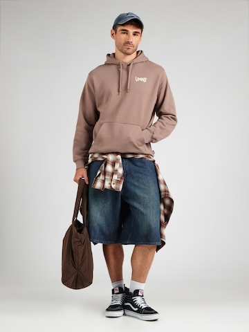 VANS Sweatshirt 'Linea' in Bruin