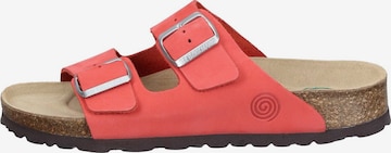 DR. BRINKMANN Pantolette 'Bonillo' in Rot: Vorderseite