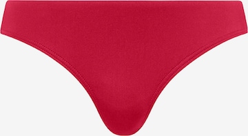 SEA LEVEL Bikinibroek 'Essentials' in Rood: voorkant