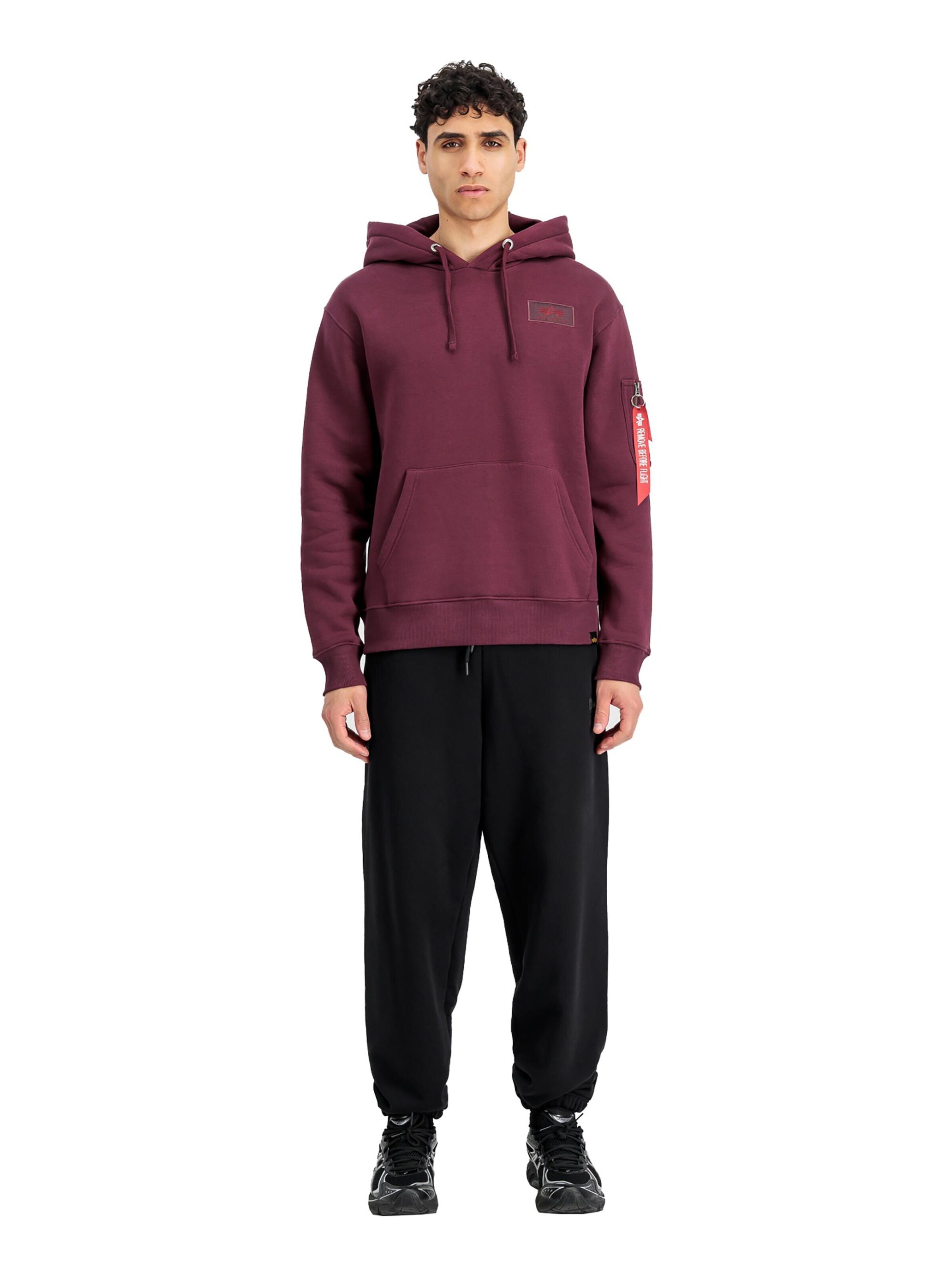ALPHA INDUSTRIES Sweatshirt 'Backprint' in Red