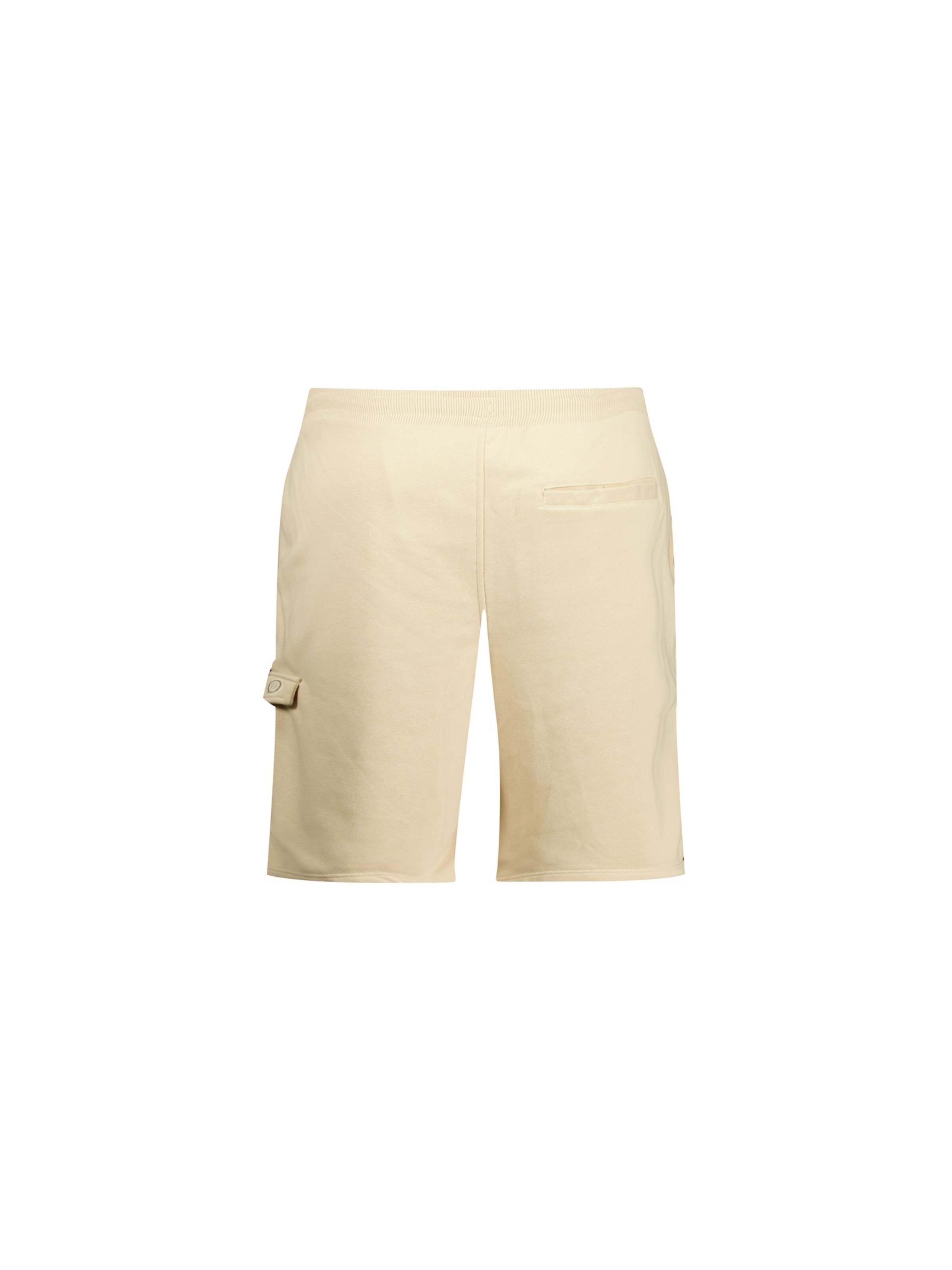Regular Pantalon 'KOA' Deeluxe en beige