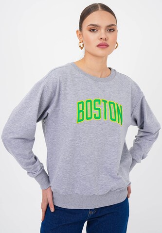 FRESHLIONS Sweatshirt 'Boston' in Grey: front