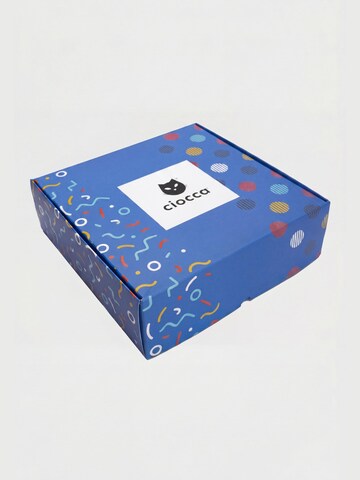 Ciocca Socks in Mixed colors