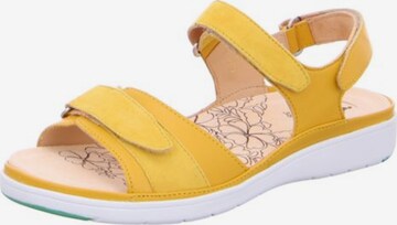 Ganter Sandals in Yellow: front