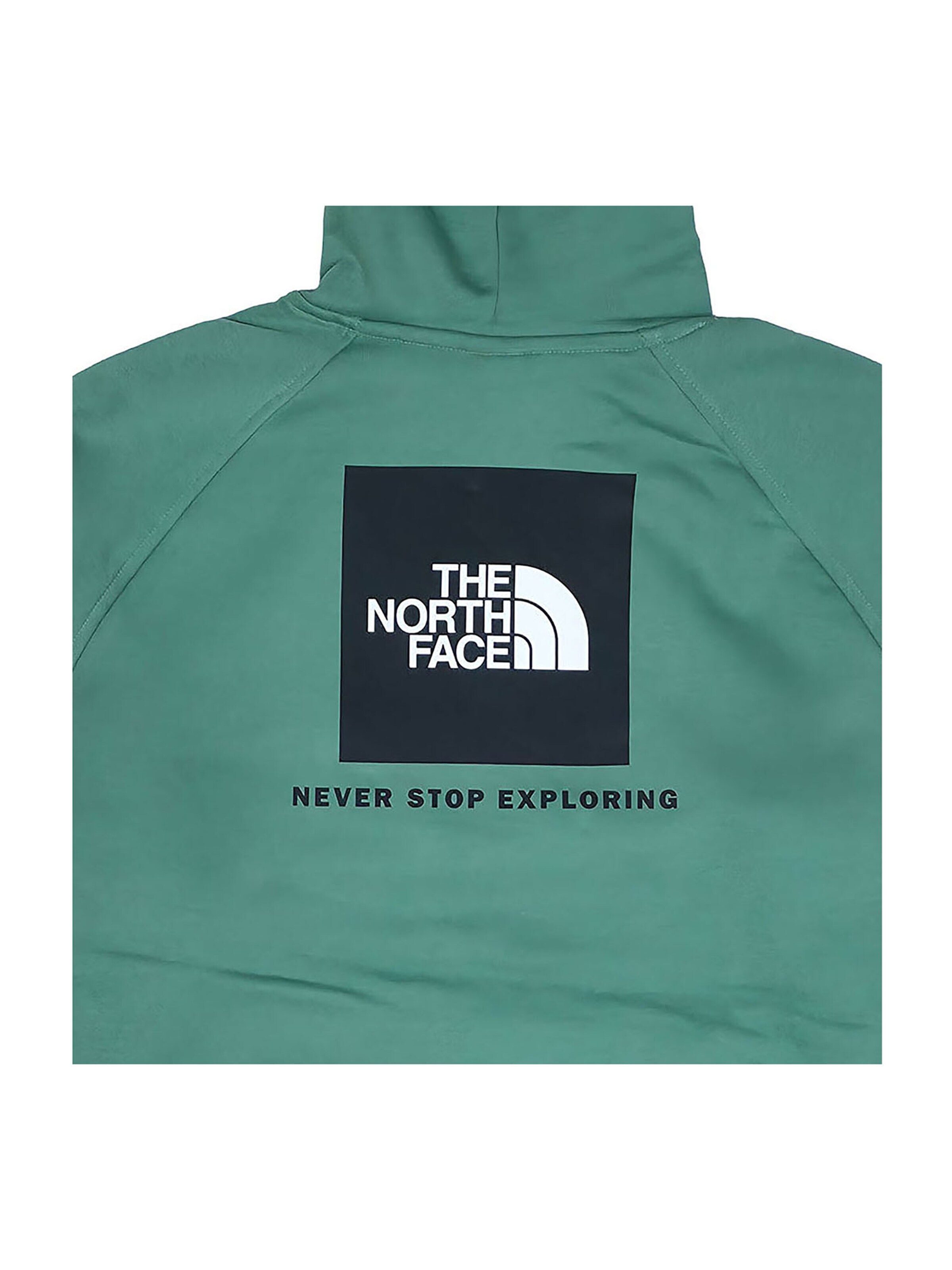 THE NORTH FACE Sweatshirt 'Raglan Box NSE' in Green