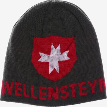 Wellensteyn Hut oder Mütze One Size in Grün: predná strana