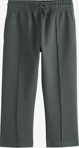 Next Regular Pants in Grey: front