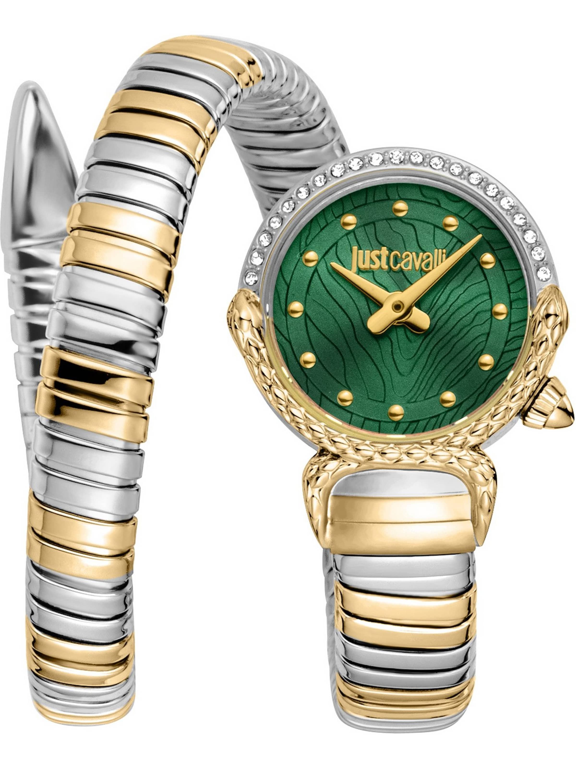 Just Cavalli Analog Watch in Green: front
