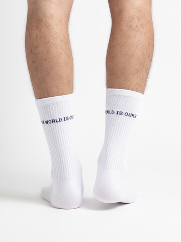 The Arctic Bay - Calcetines 'WORLD IS EDITION Gift box 4 Pack Unisex' en blanco