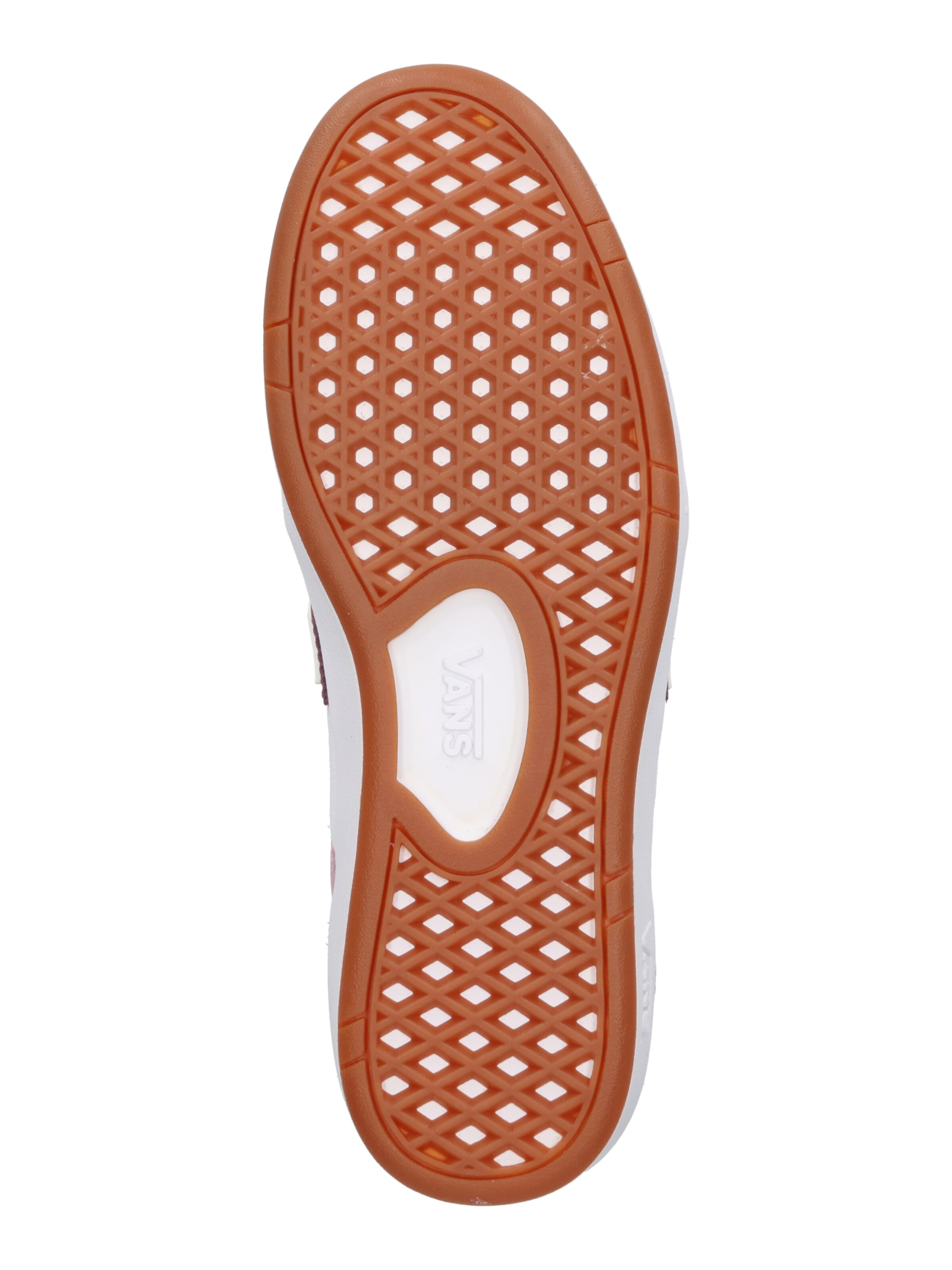 VANS Nizke superge 'UA Lowland CC' | mešane barve barva