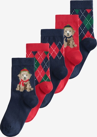 mėlyna Next Kojinės: priekis