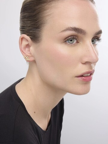 LUXBYLUX Earrings in Gold: front
