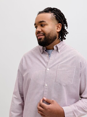 Coupe regular Chemise JACK & JONES en rouge