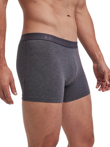 FALKE Boxer shorts '3-Pack' in Grey