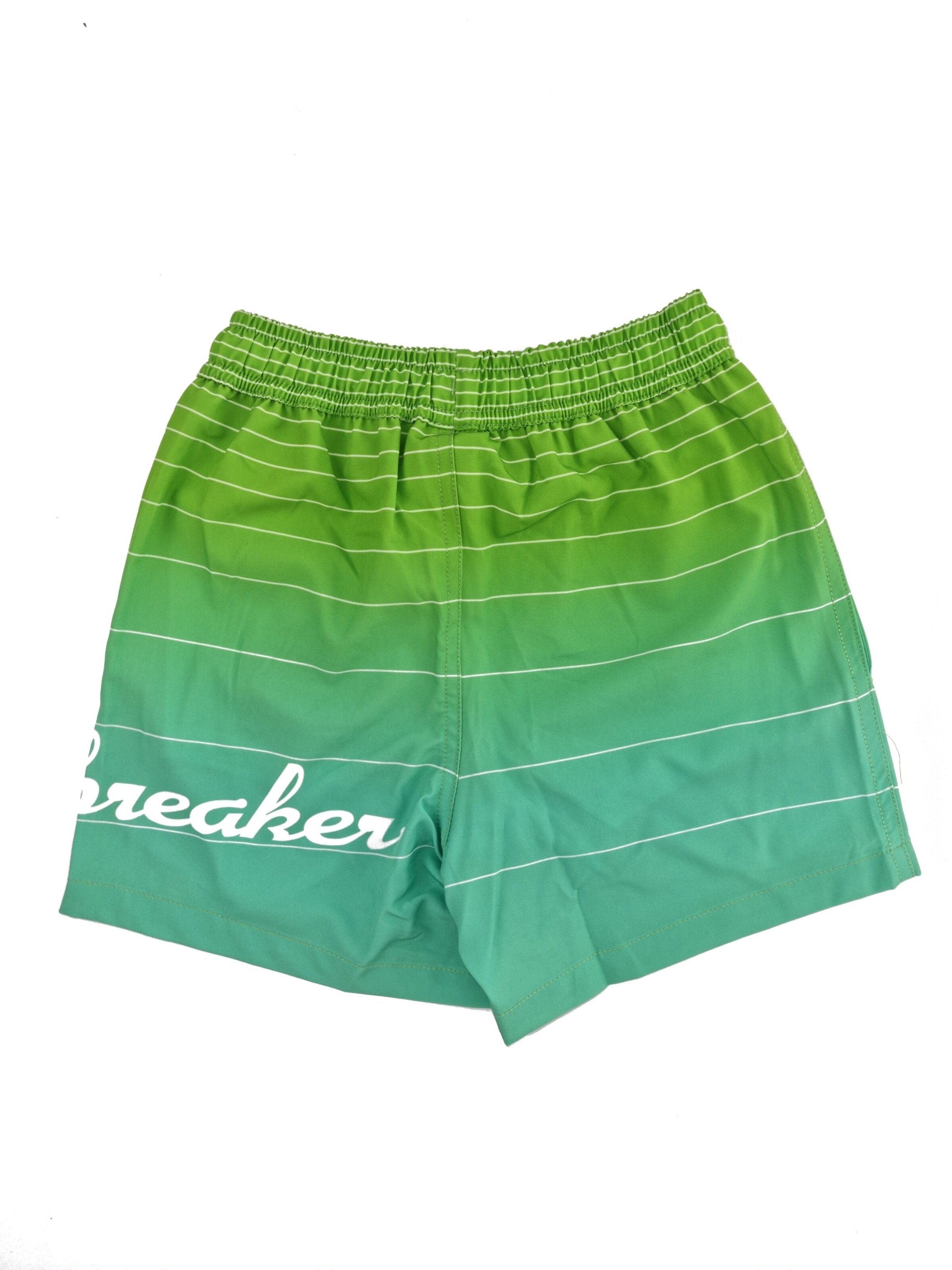 wavebreaker Board Shorts in Green