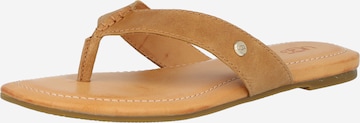 UGG T-Bar Sandals 'Tuolumne' in Brown: front