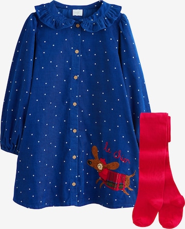 mėlyna Next Suknelė: priekis