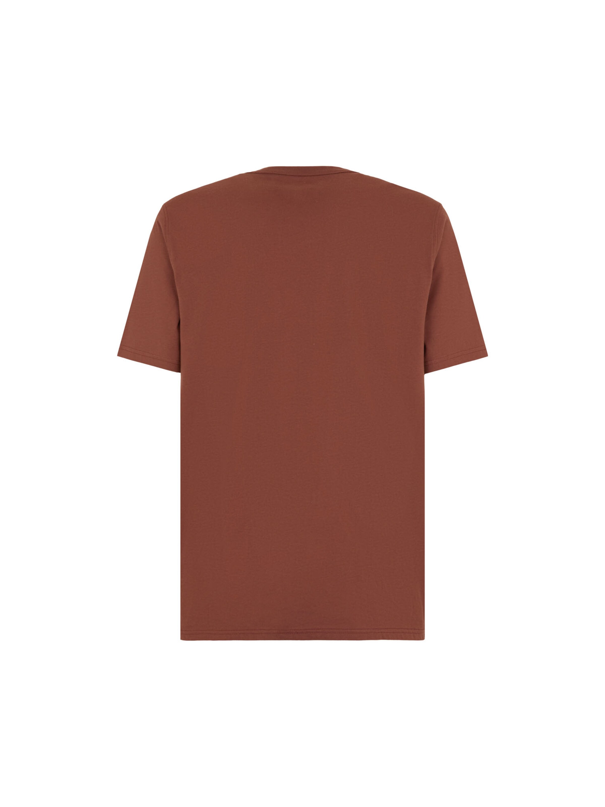 DICKIES T-shirt 'Aitkin' i brun