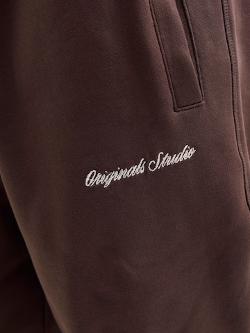 JACK & JONES Regular Trousers 'JPSTKane Norrebro' in Brown