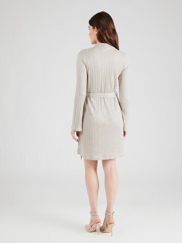 PIECES Dress 'PCDALILAH' in Grey
