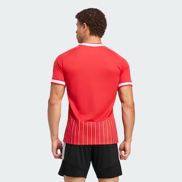 ADIDAS PERFORMANCE Trikot 'FC Köln Trefoil' – červená