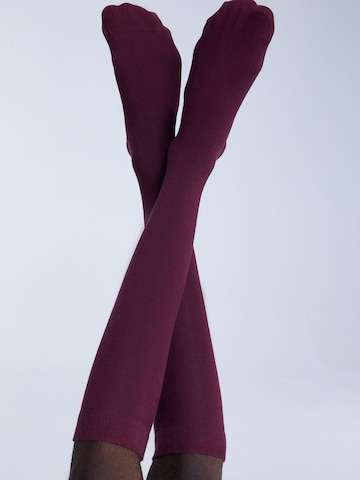 Albero Natur Knee High Socks in Red