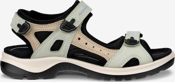 ECCO Hiking Sandals in Blue