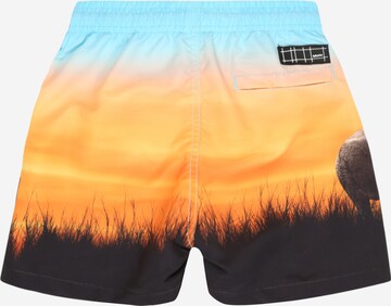 Molo Board Shorts 'Niko' in Orange