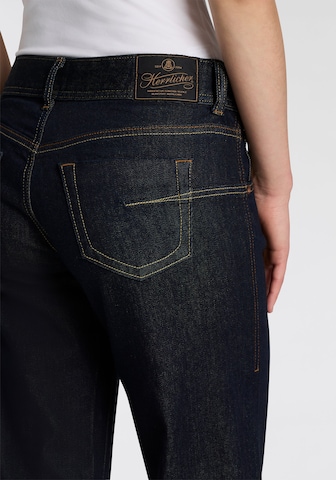 Herrlicher Bootcut Jeans in Blau