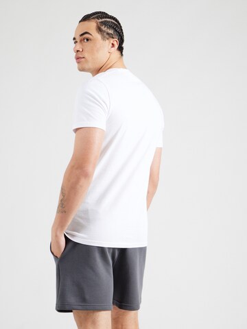 HOLLISTER Μπλουζάκι σε γκρι
