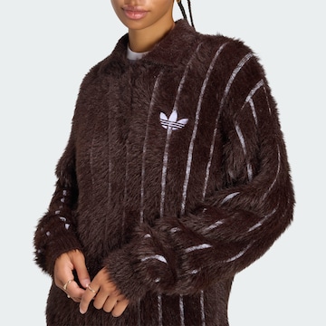 ADIDAS ORIGINALS Sweater in Brown