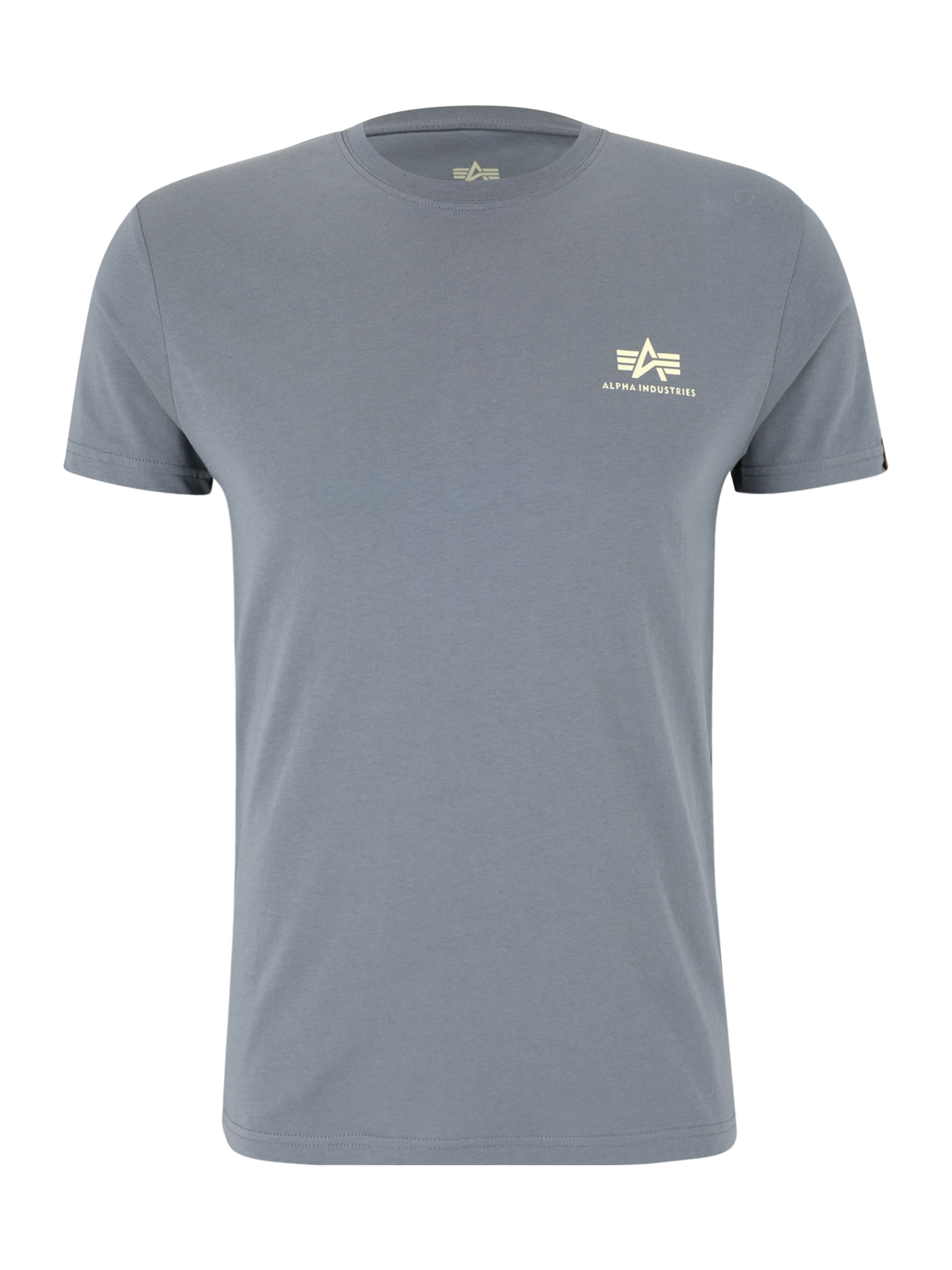 ALPHA INDUSTRIES Bluser & t-shirts i grå: forside