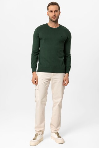 DENIM CULTURE Sweter ' NEROLI ' w kolorze zielony: przód
