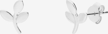Lucardi Oorbellen in Zilver: voorkant