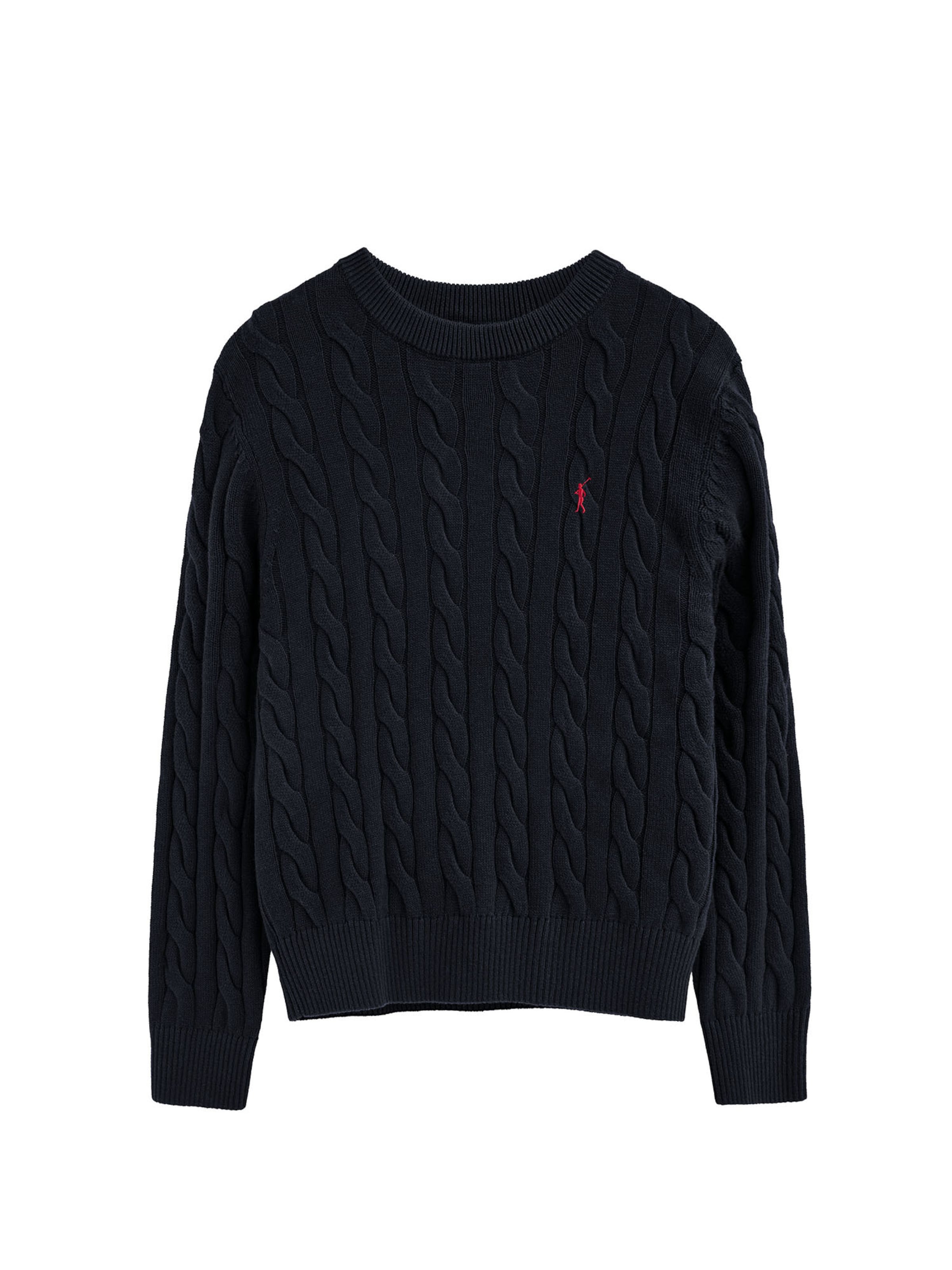 Polo Club Pullover ' RIGBY ' in Blau: Vorderseite
