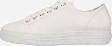 Baskets basses Paul Green en blanc