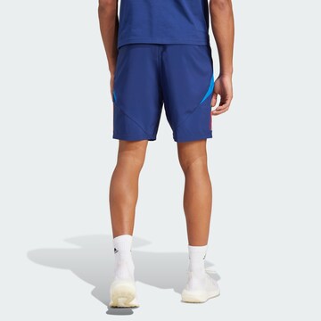 ADIDAS PERFORMANCE Regular Workout Pants 'DFB Tiro 24 Competition Downtime' in Blue