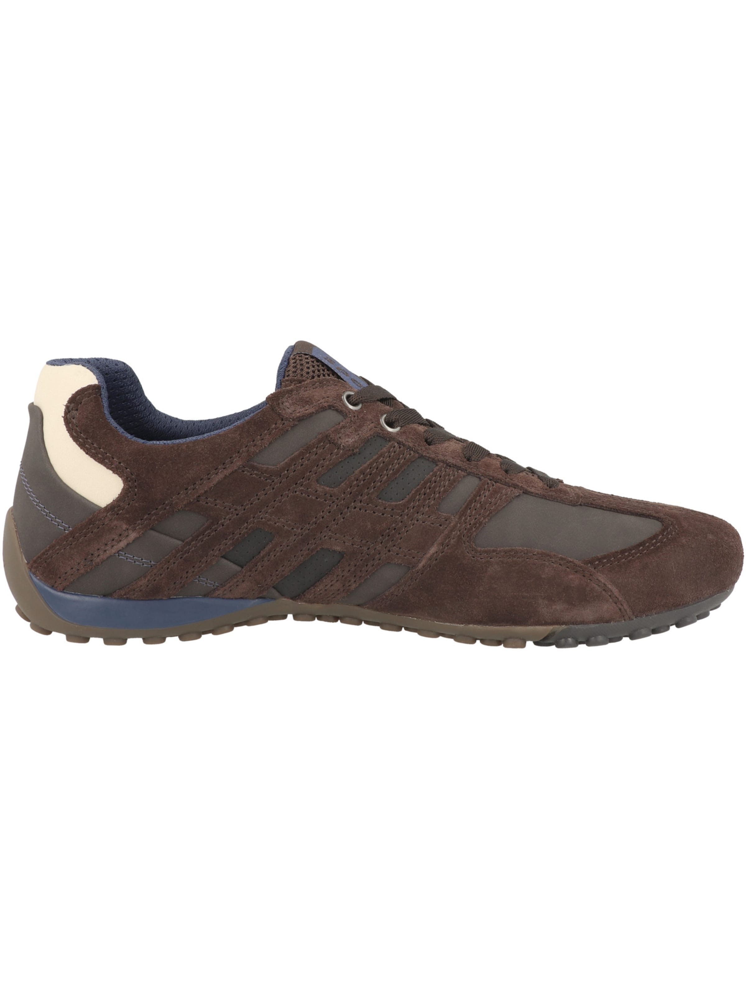 GEOX Sneaker in Braun