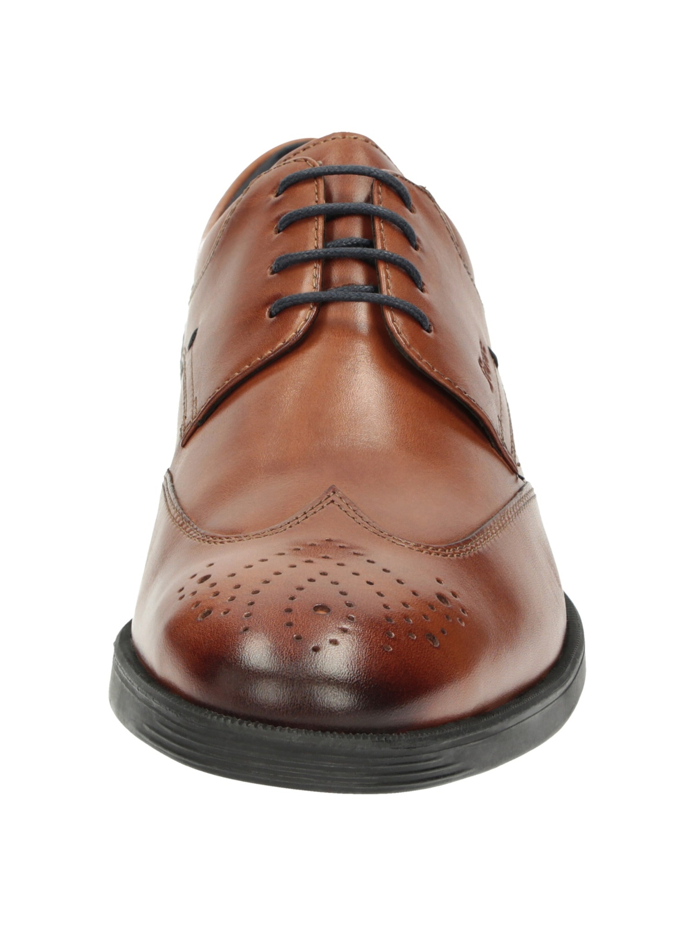 SIOUX Veterschoen 'Foriolo-708-H' in Bruin