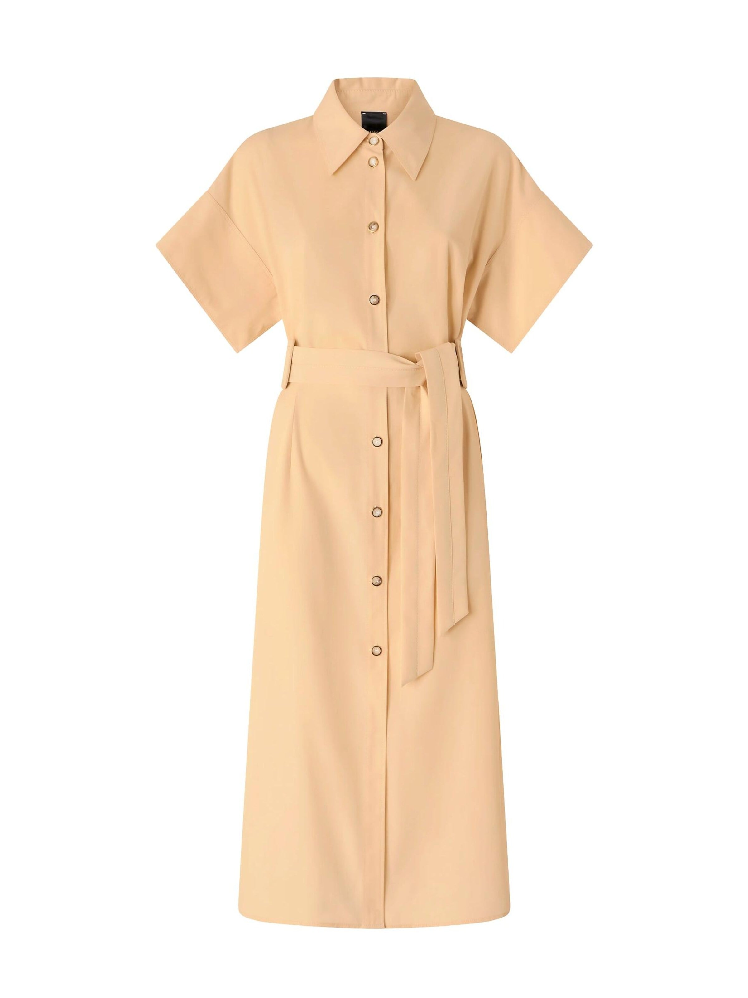 Robe 'PINKO ALESHA ABITO COTONE FLUIDO ABITO' PINKO en beige : devant
