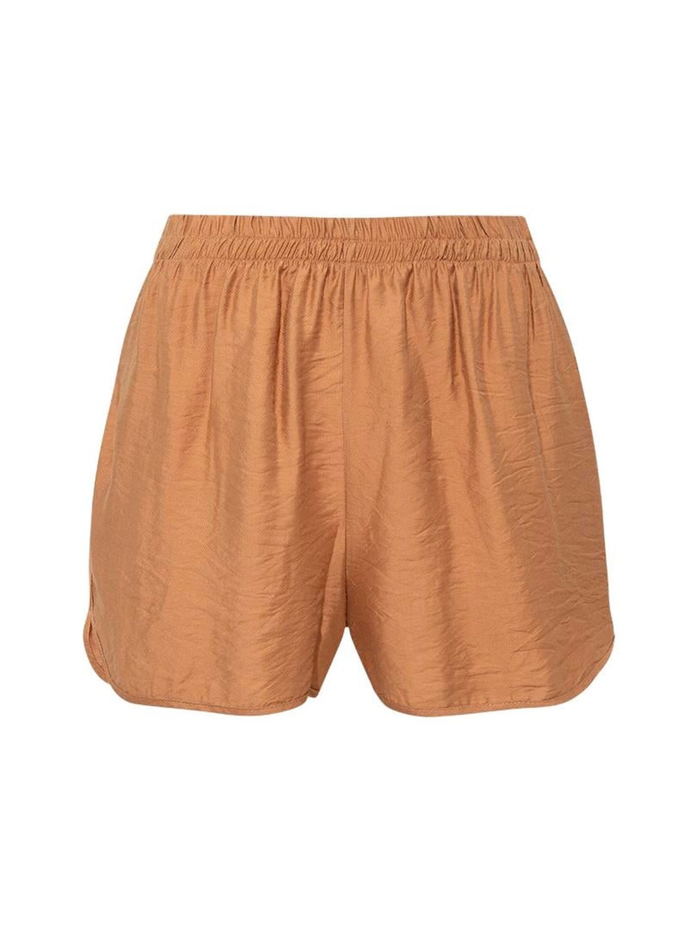 Rivus Board shorts in Brown: front