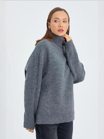 MixRay Trui in Grijs