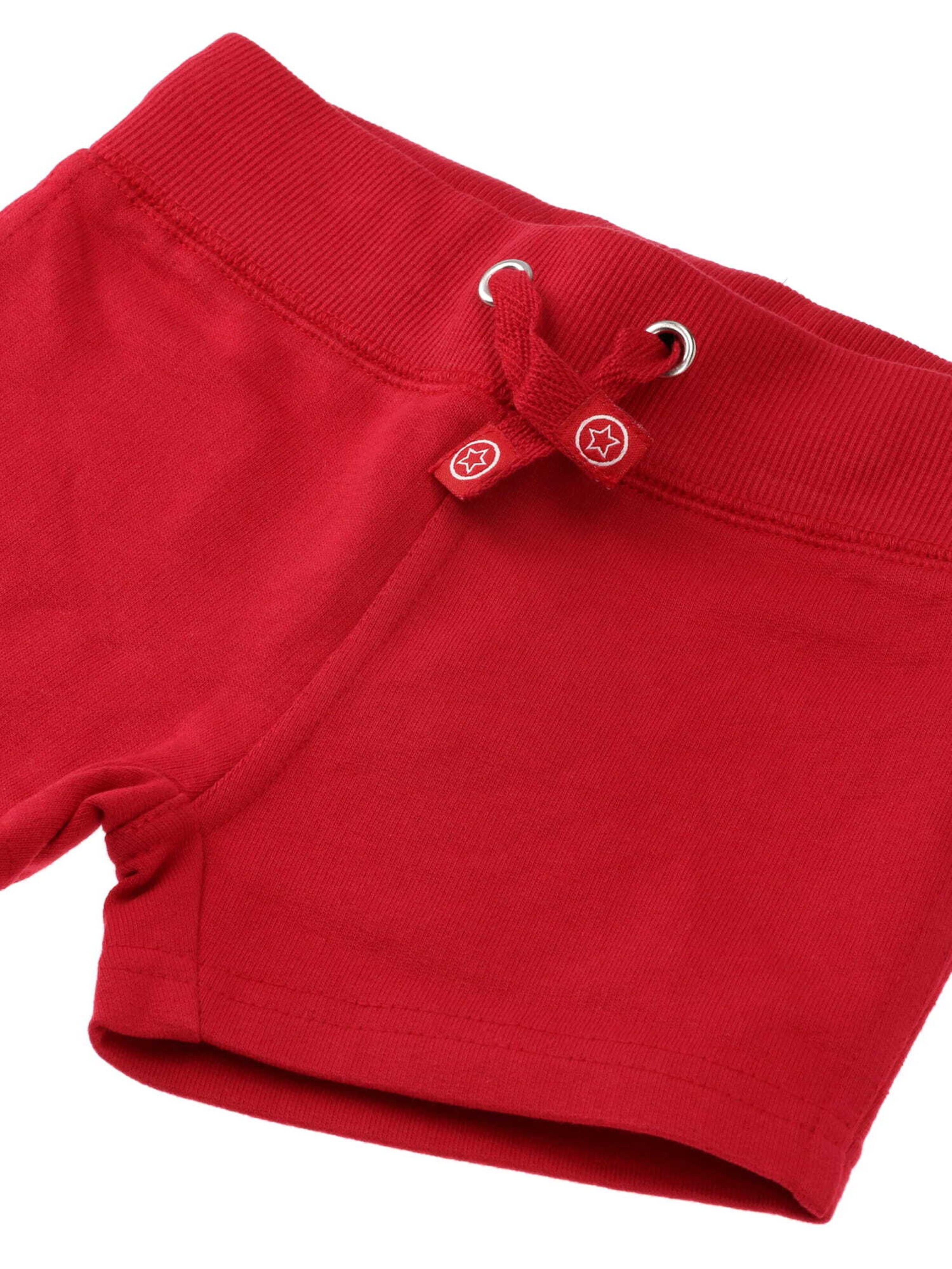 Villervalla Regular Pants in Red