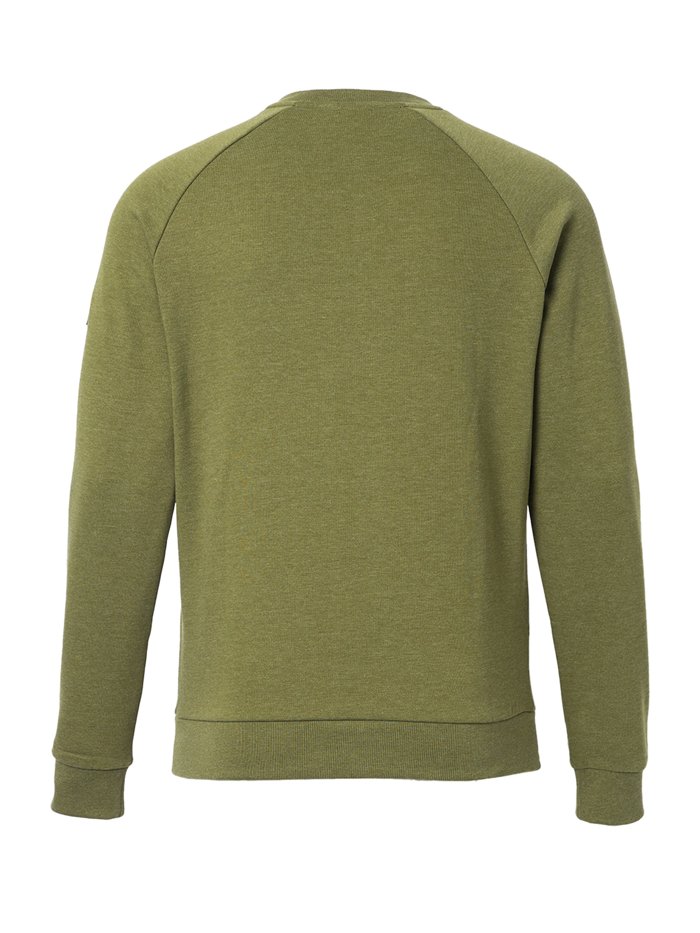 FORSBERG Sweatshirt 'mit Frottee Logo' in Green