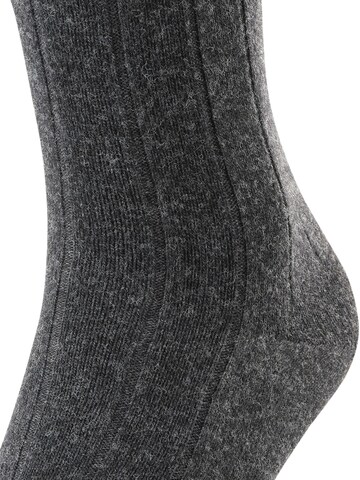 FALKE Knee High Socks 'Lhasa Rib' in Grey