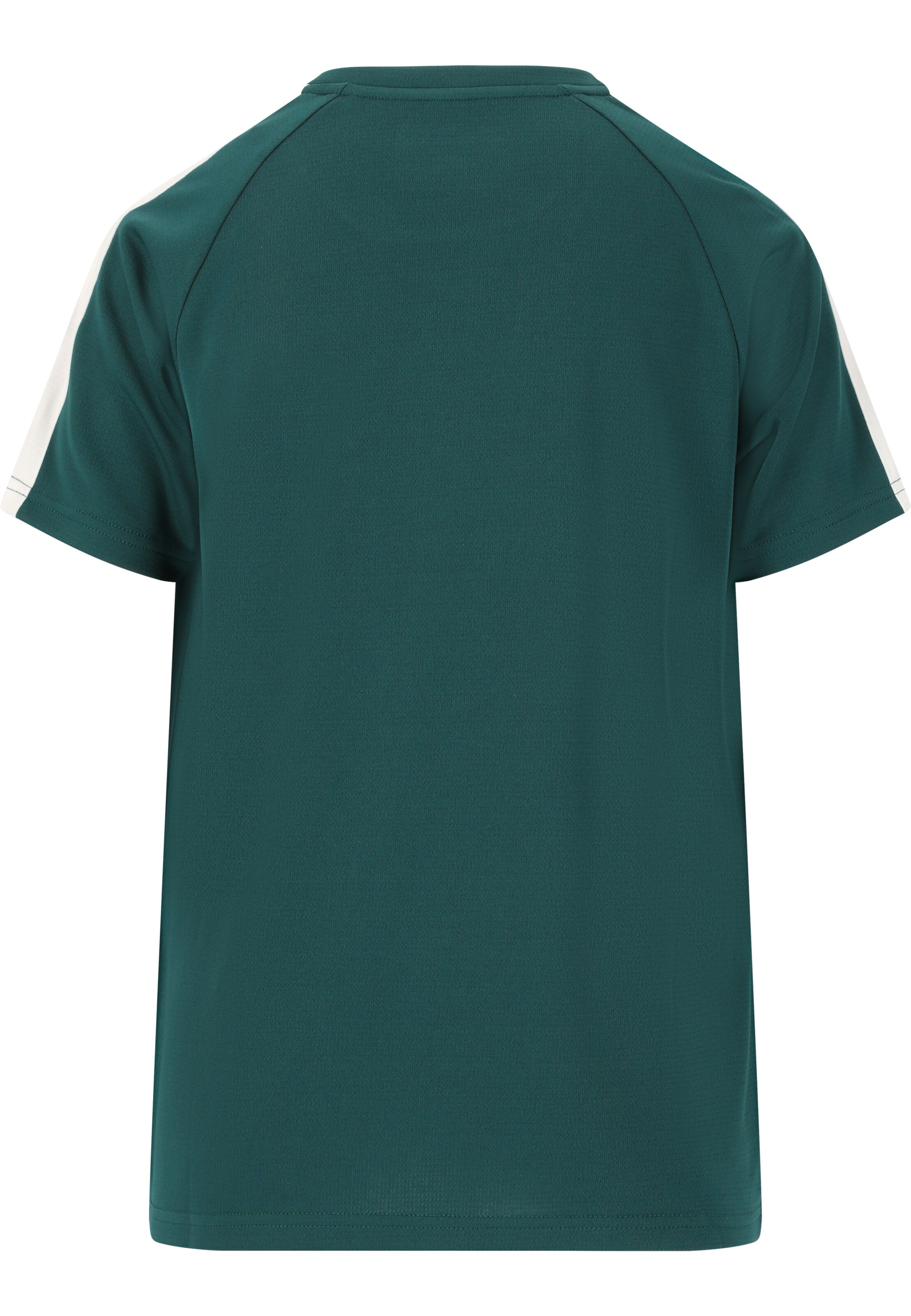 ENDURANCE Performance shirt 'Actty' in Green